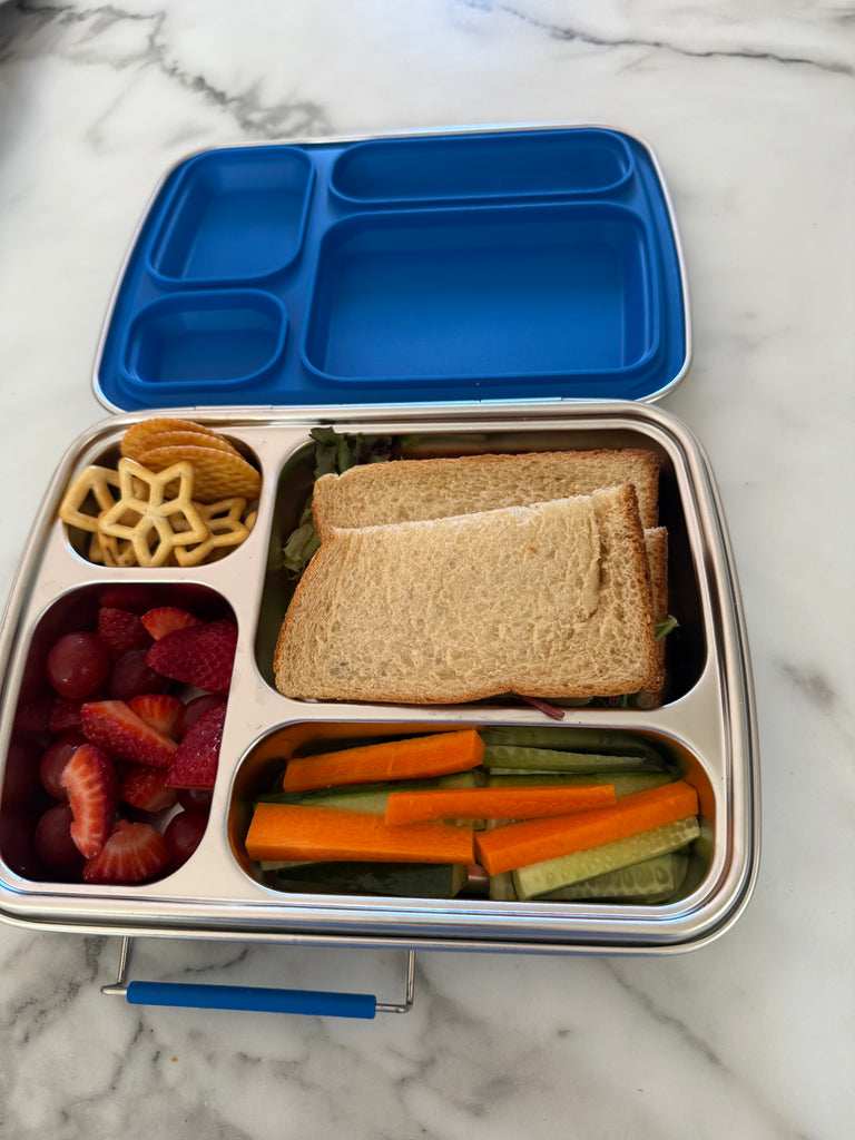 Stainless Steel Bento - 4 Compartment Raised Lid Lunchbox - Blue ...