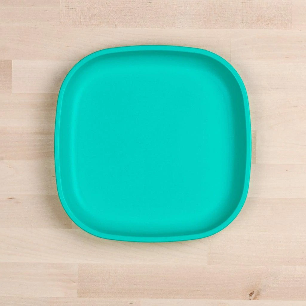 Re-Play Recycled Large Flat Plate